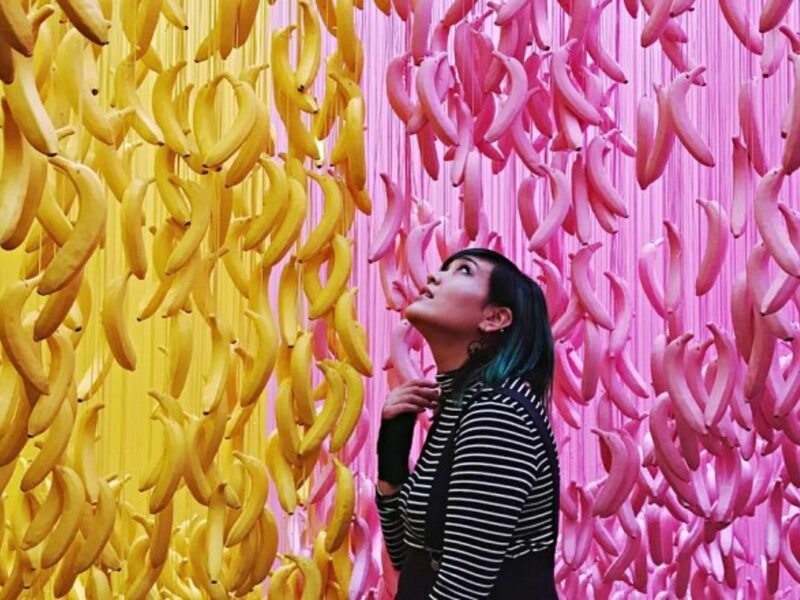 At SF's Museum of Ice Cream