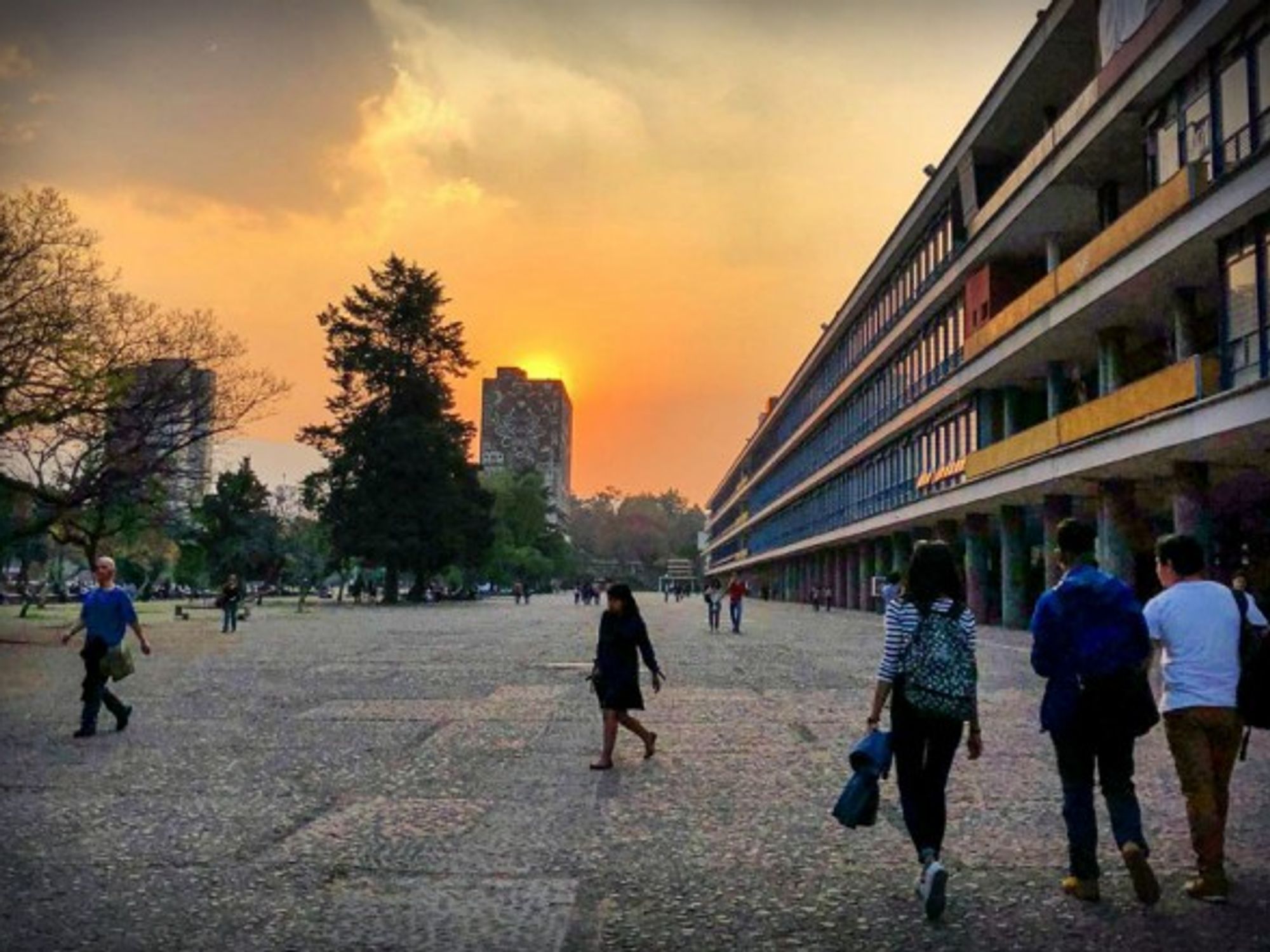 At the National Autonomous University of Mexico