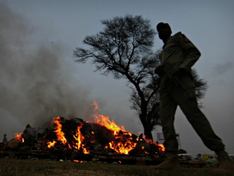 Authorities in Punjab region burn seized narcotics in November