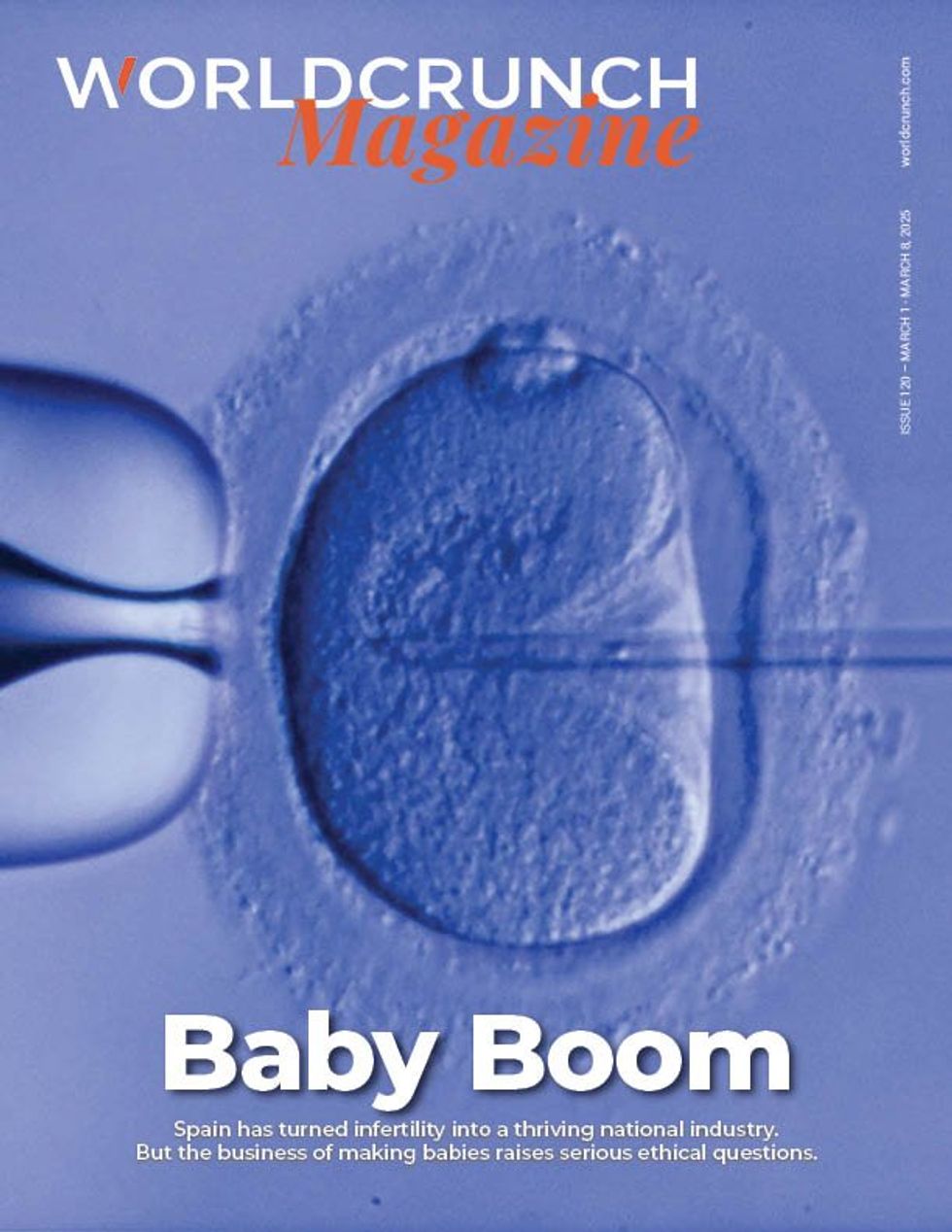 Baby Boom