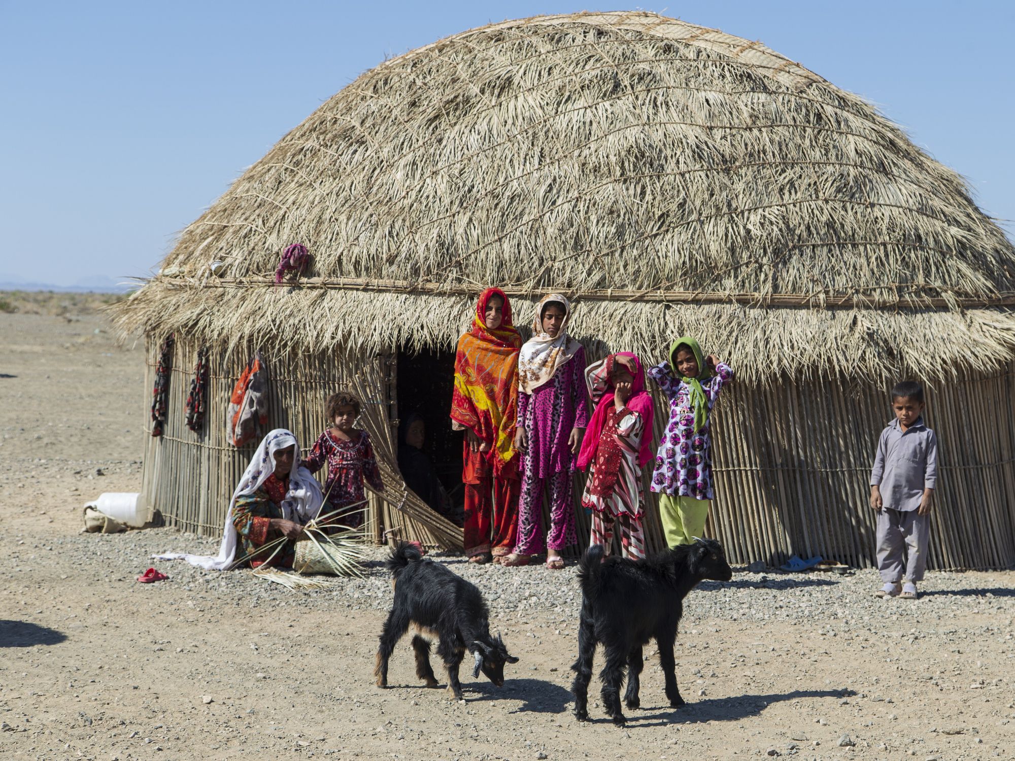 Baloch or Balunch family outside of their house with 2 black sheep grazing the land.