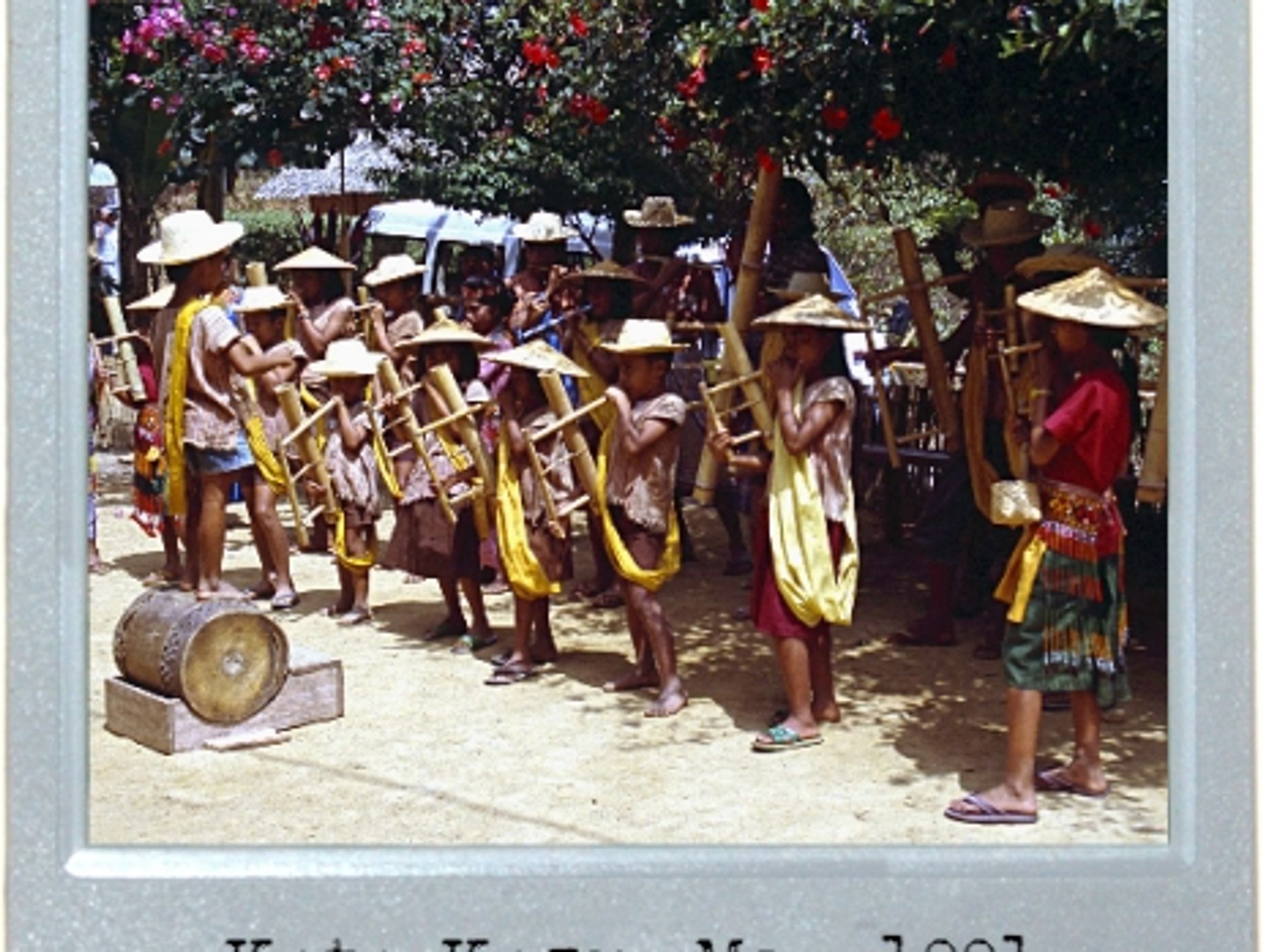 Bamboo Orchestra