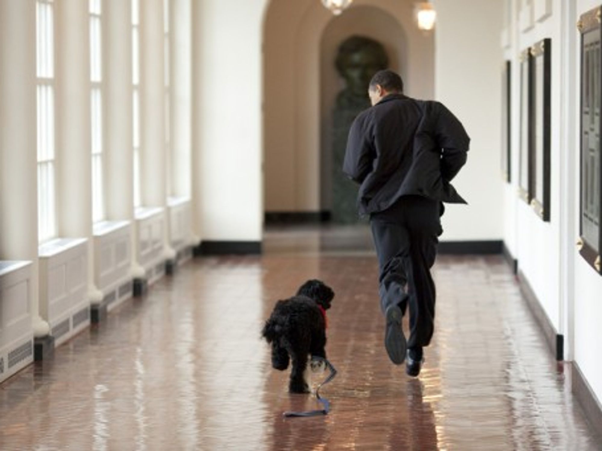 Barack Obama and his presidential pup,