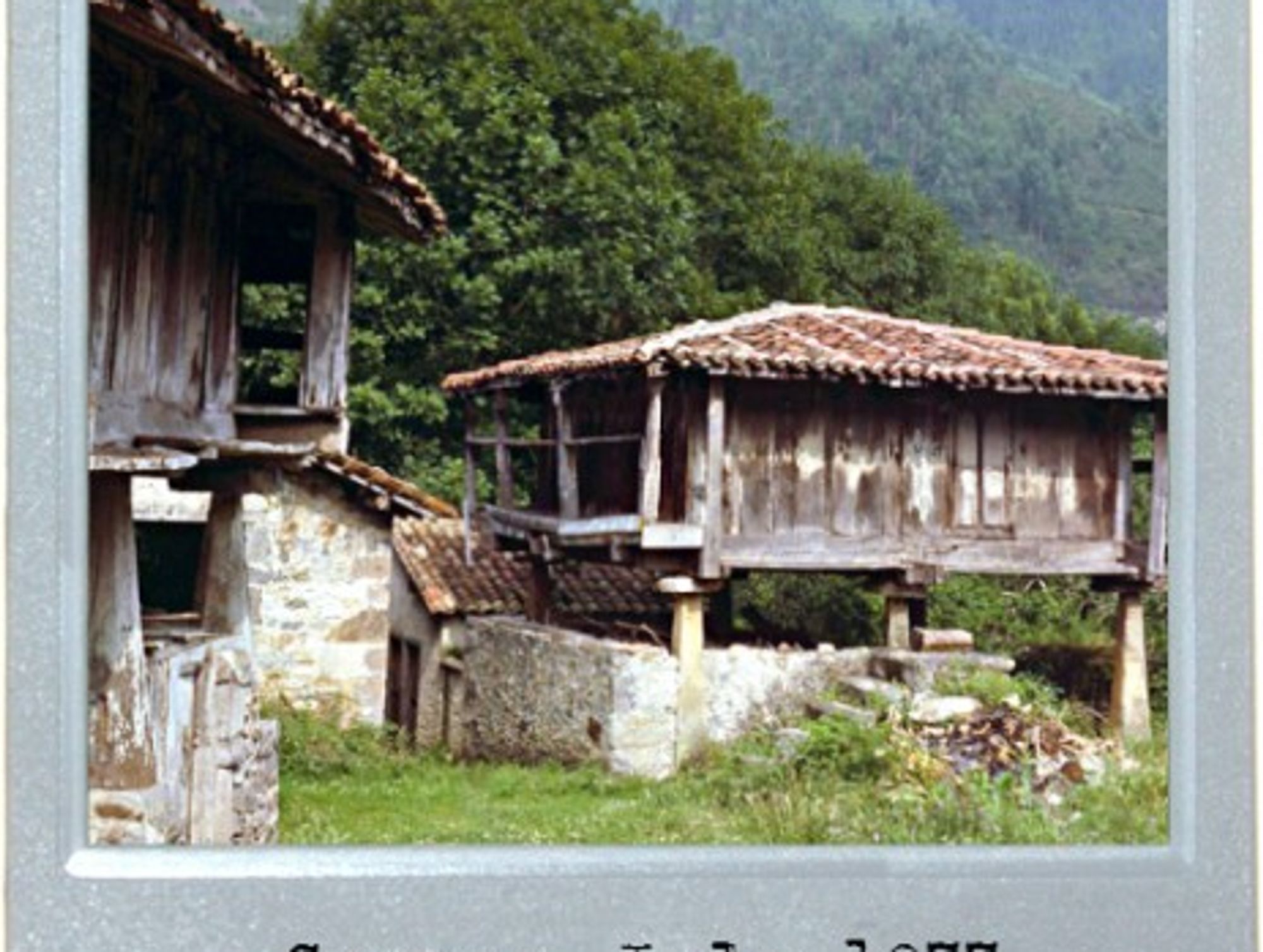 Barns On Stilts