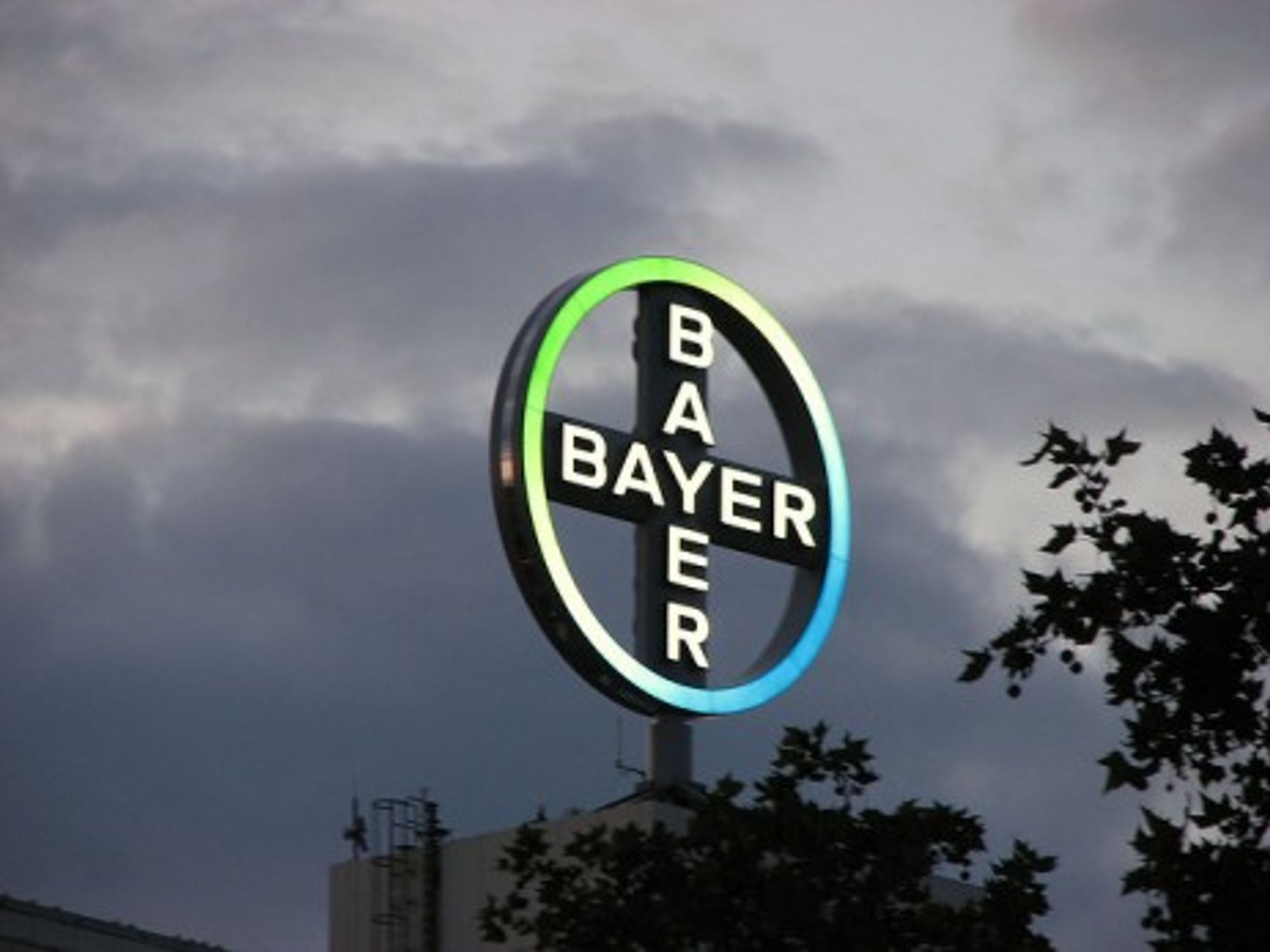 Bayer’s Big Bet On China