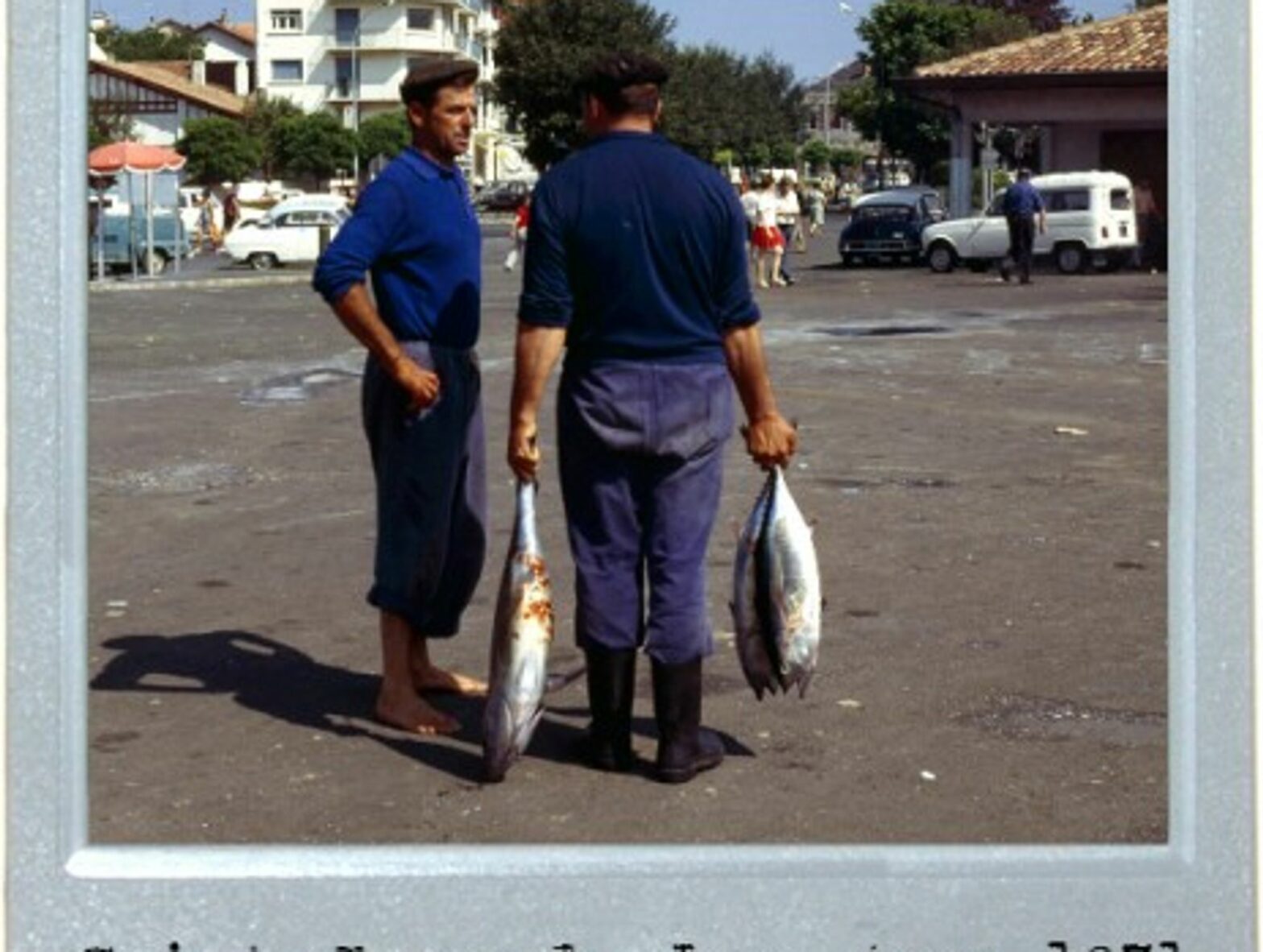 Big Fish In Basque Country
