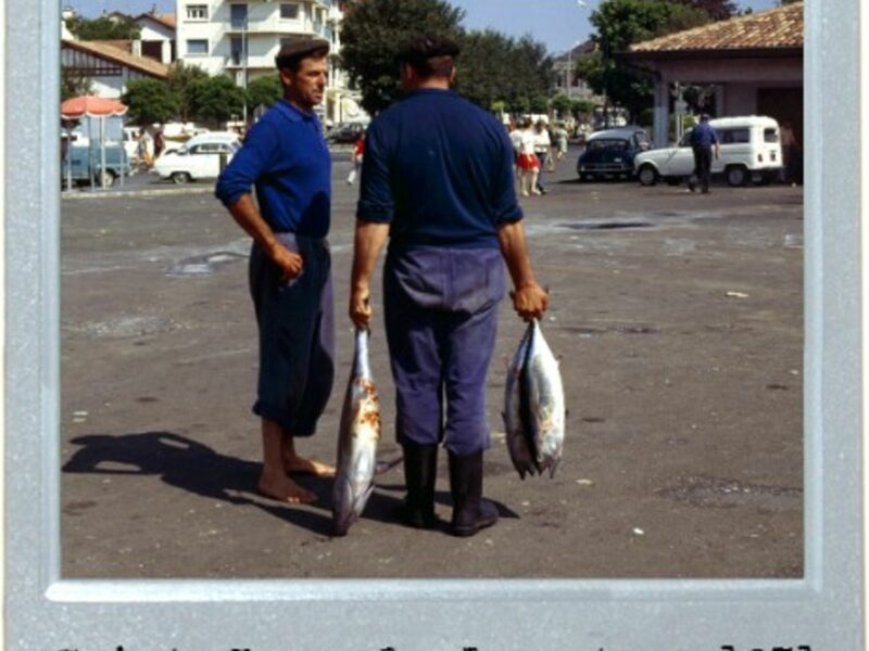 Big Fish In Basque Country