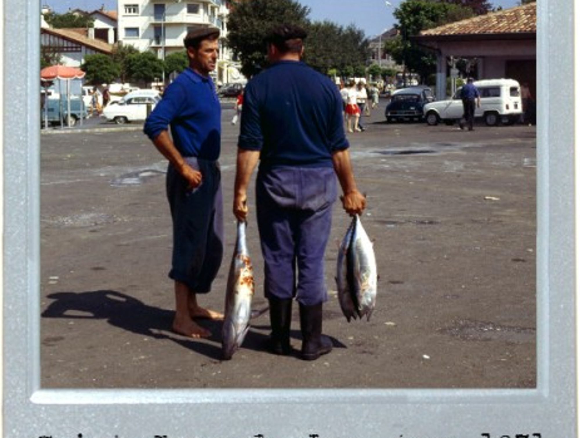 Big Fish In Basque Country
