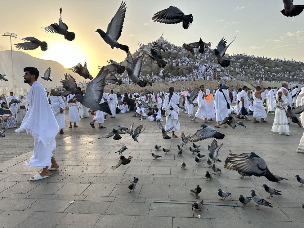 Birds are seen flying in front of a large group of muslims wearing all whtie.
