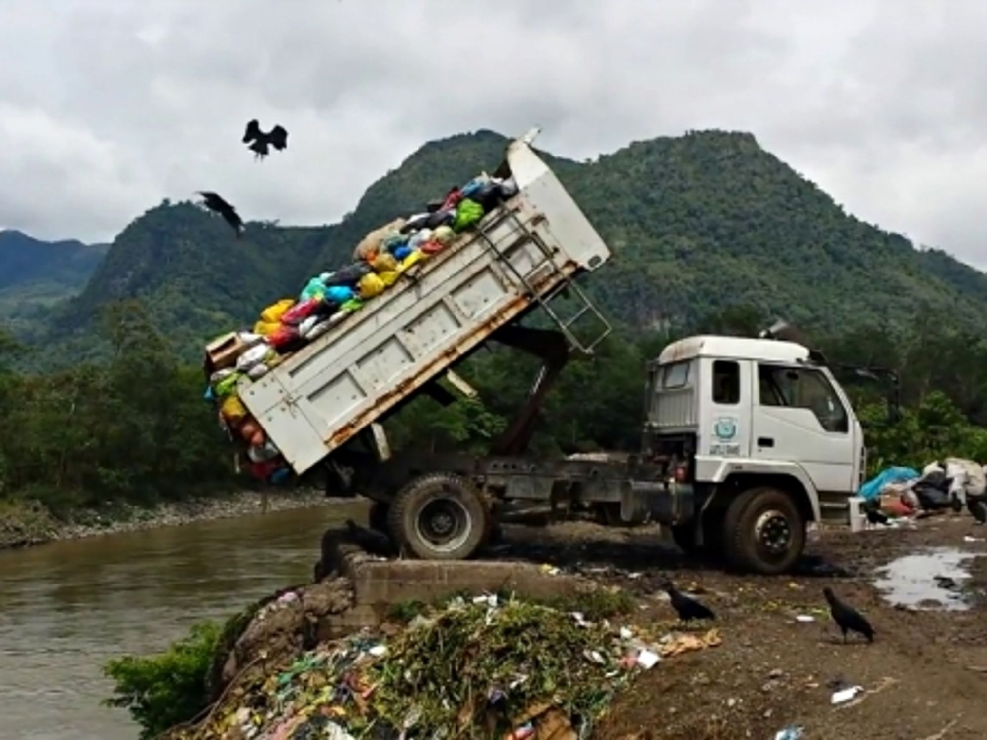 Birds flying a truck dumping waste in Tingo Maria, Peru