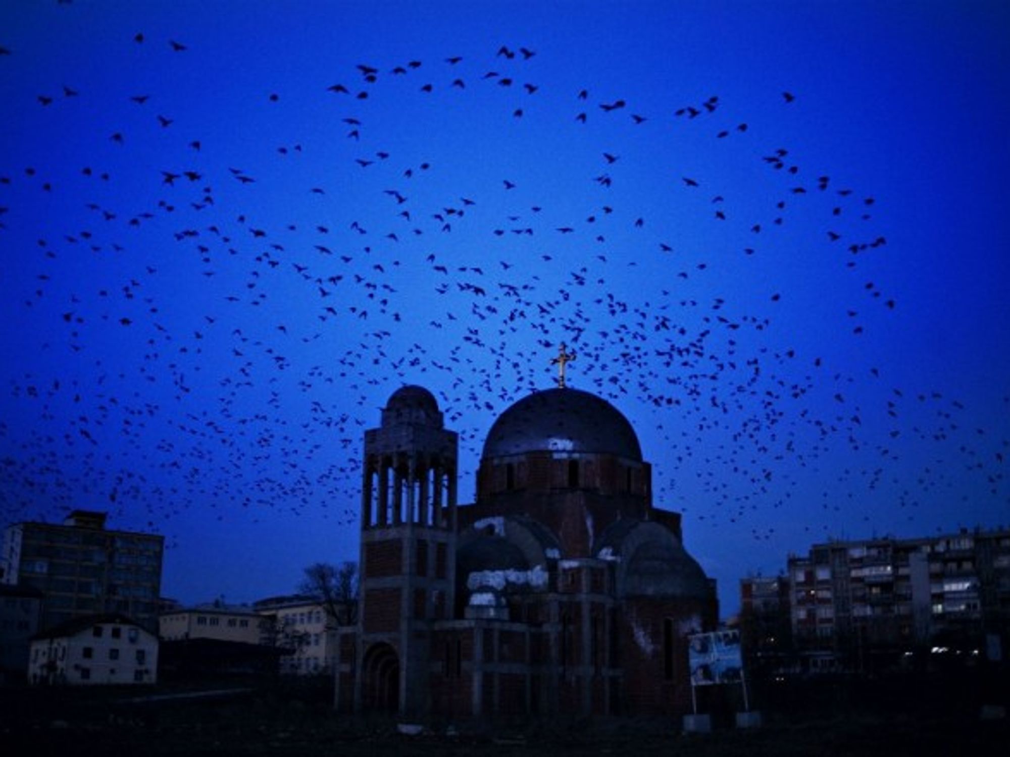 Birds flying by an abandoned Orthodox church in Pristina, Kosovo