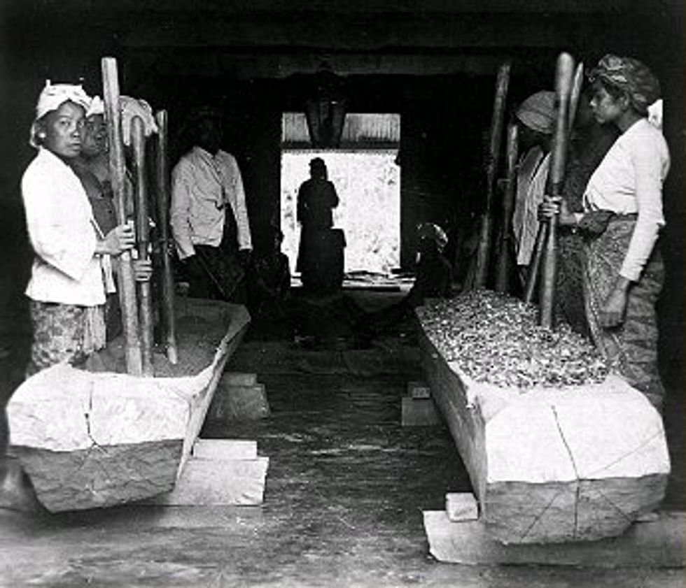 Black and white image of groups of women holding a stick in their hand and treating Coca leafs.