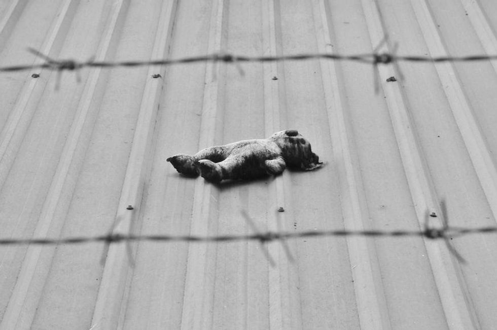 blank-and-white photo of an abandoned teddy bear