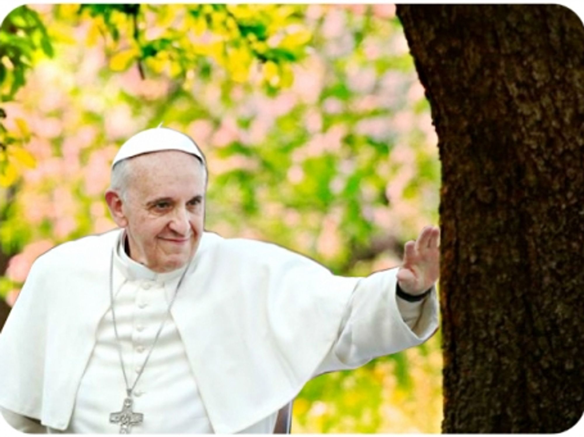 Blessed be the trees