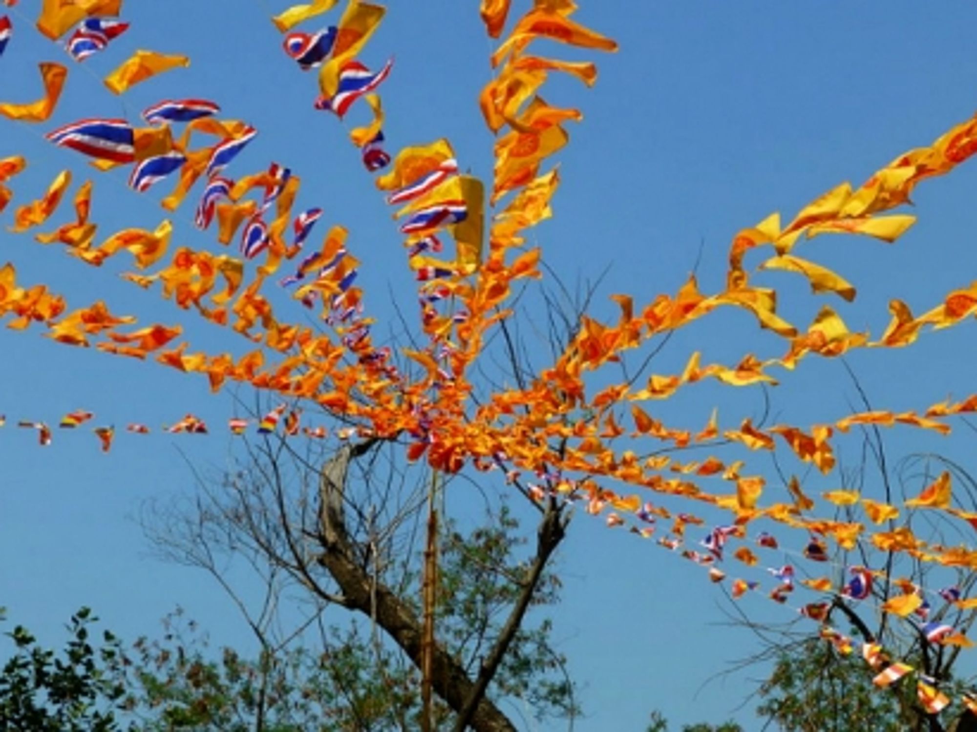 Blowing in the wind