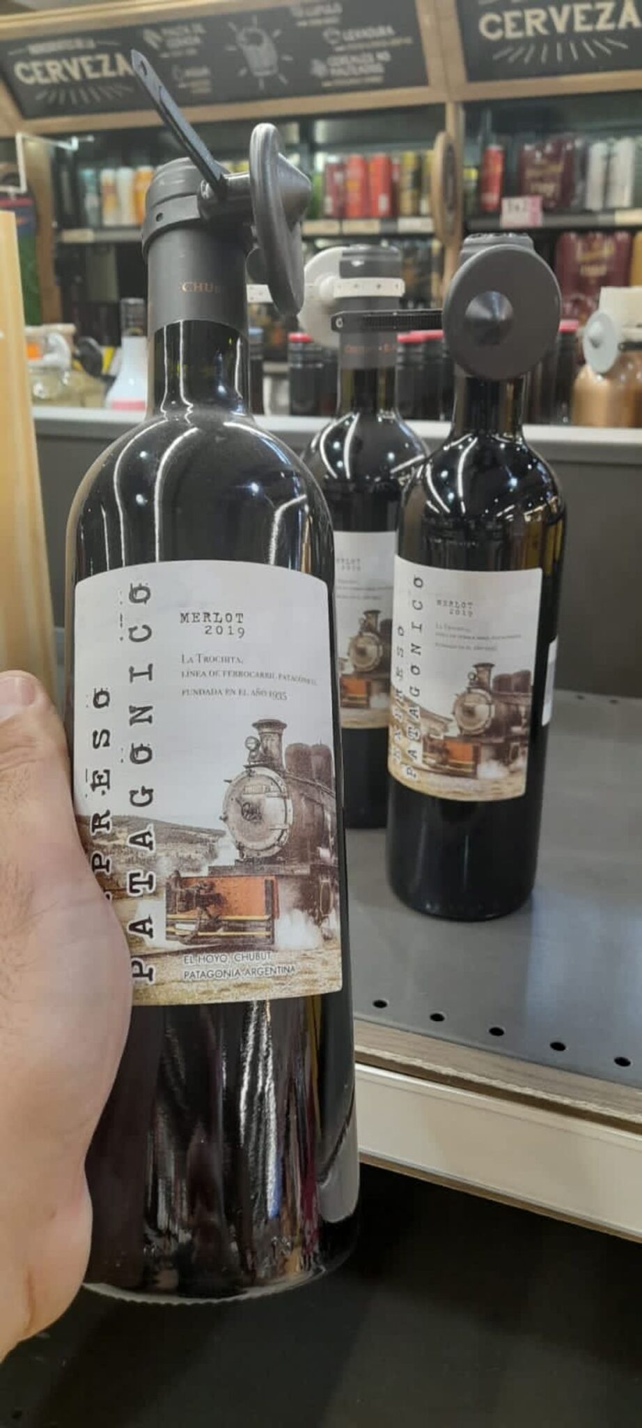 Bottles of Merlot from El Hoyo, Chubut, Patagonia, Argentina