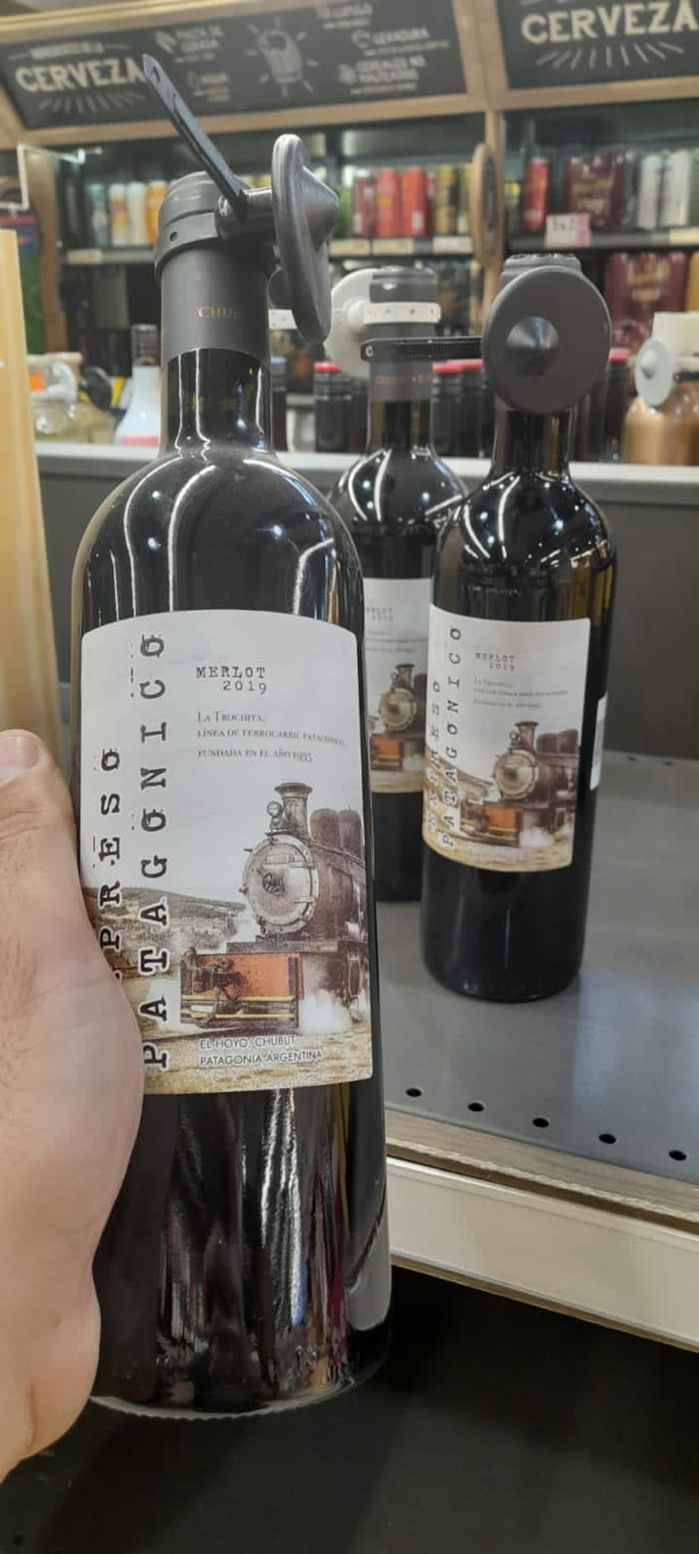 Bottles of Merlot from El Hoyo, Chubut, Patagonia, Argentina