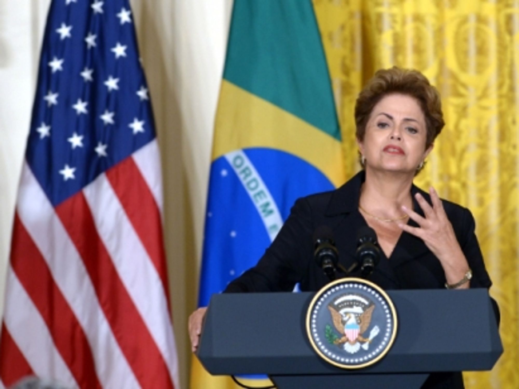 Brazilian President Dilma Rousseff speaks at the White House on June 30, 2015