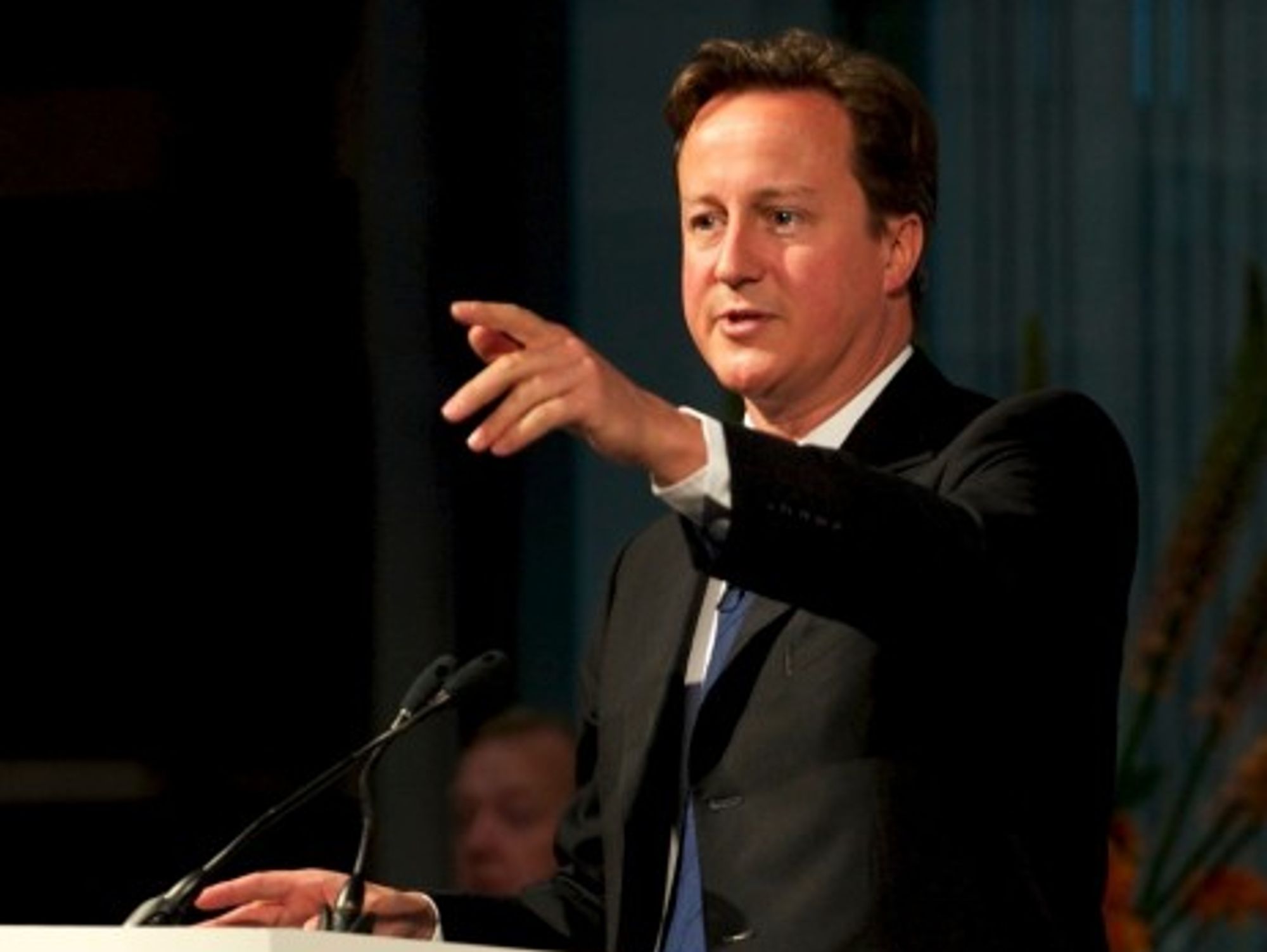British Prime Minister David Cameron (DFID)