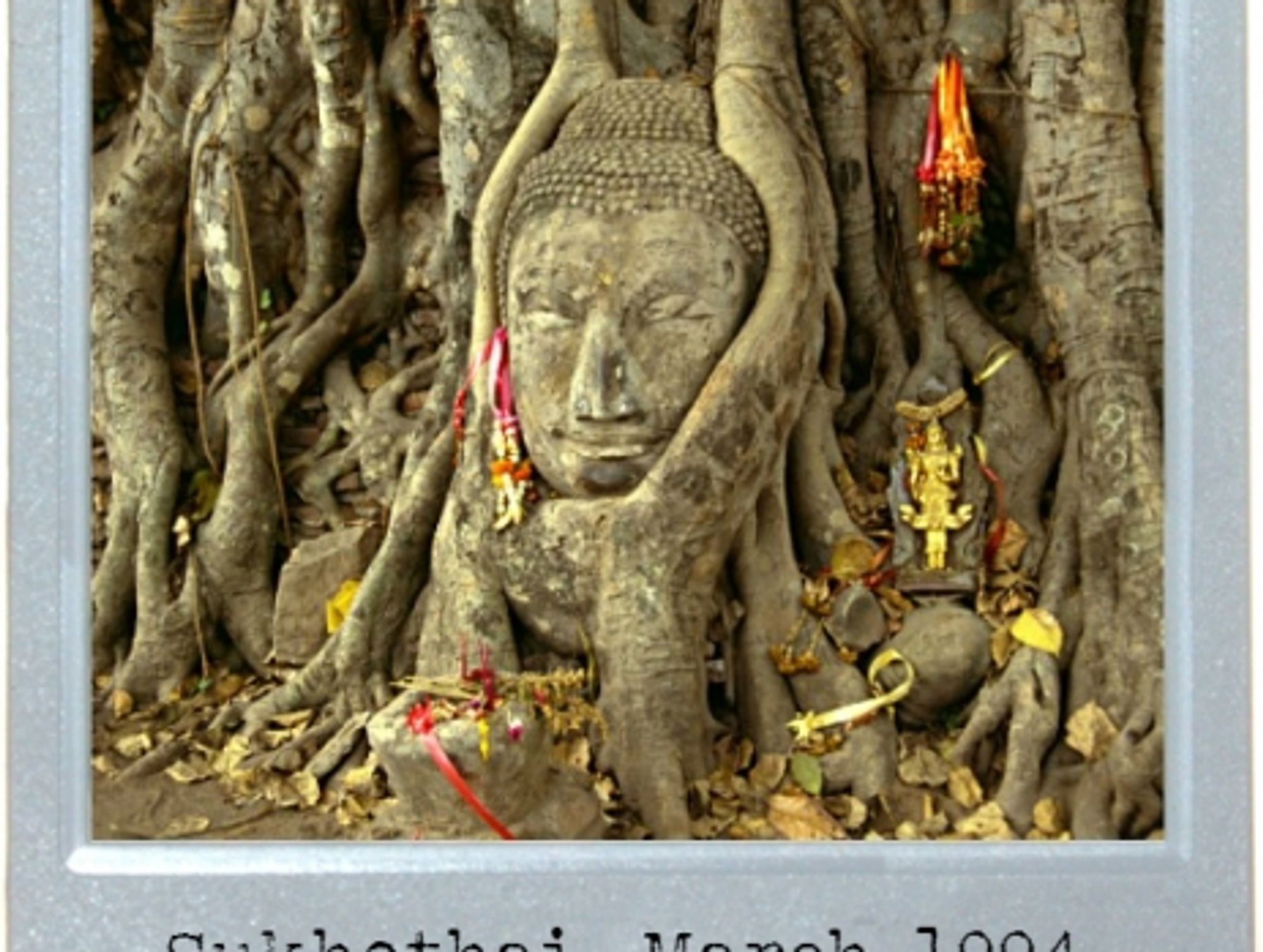 Buddha vs. Banyan