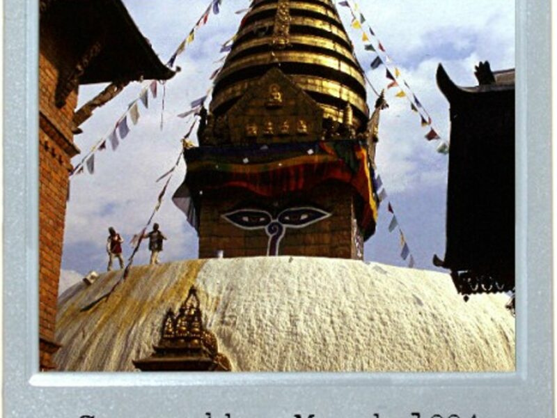 Buddha Watching
