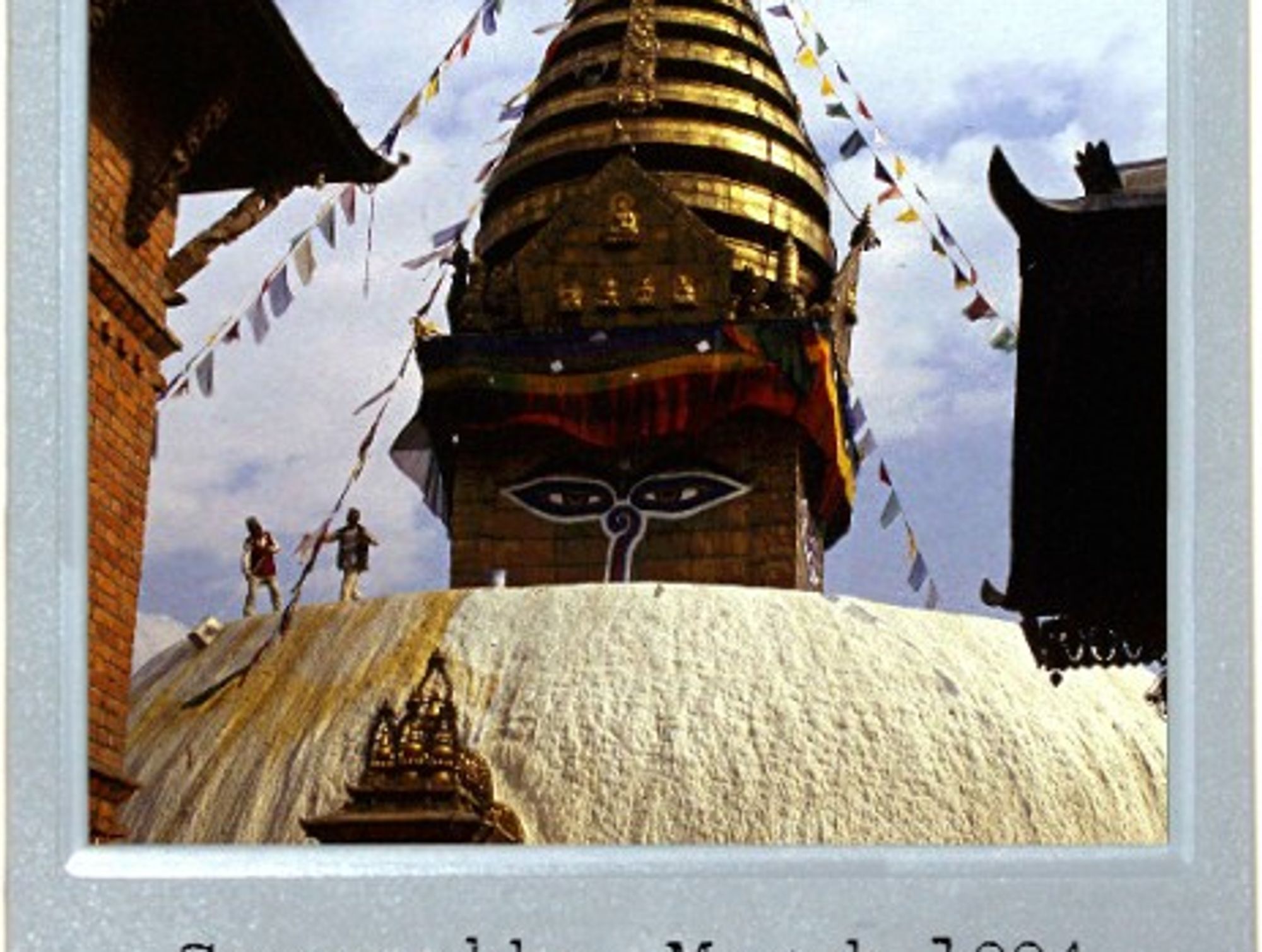 Buddha Watching
