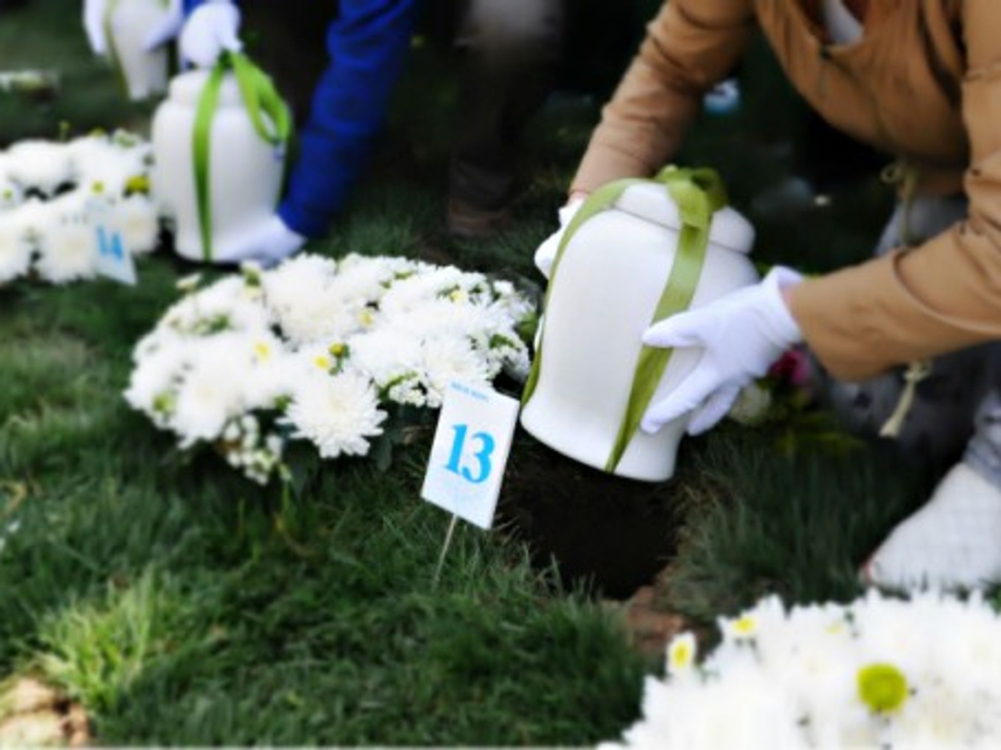 Burying ashes