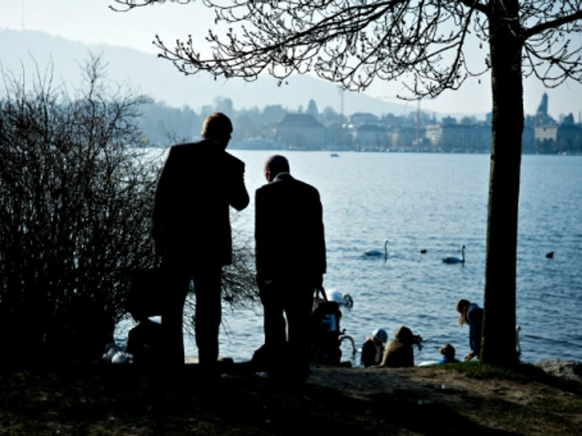 Businessmen by Lake Zurich