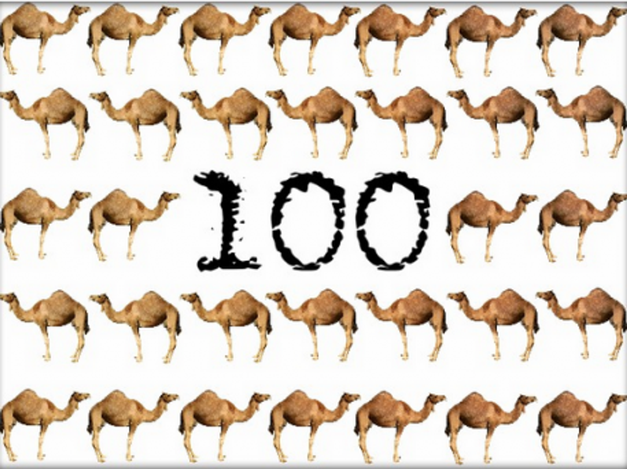 By The Numbers: Camels, Obesity, Deforestation, More