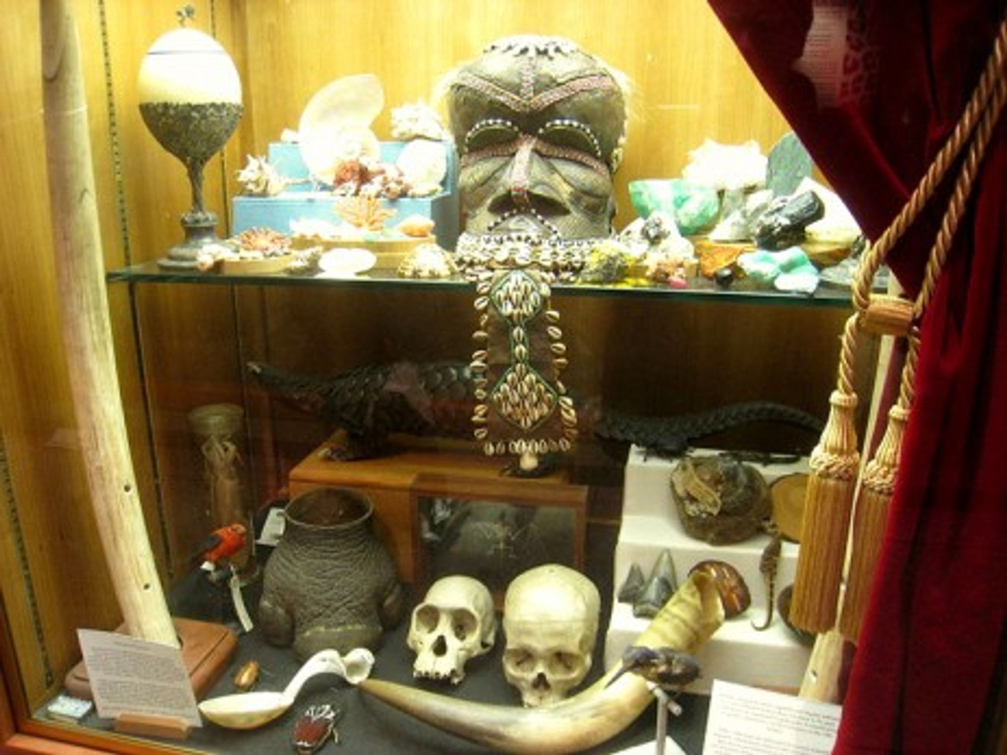 Cabinets of curiosities have existed since the 16th century (Daderot)