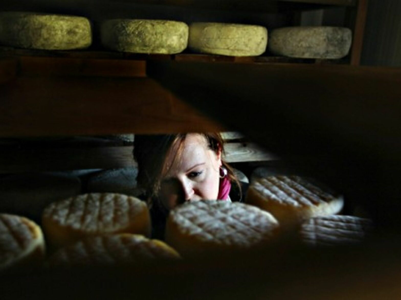 Californian Cheese Maker