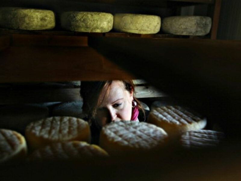 Californian Cheese Maker