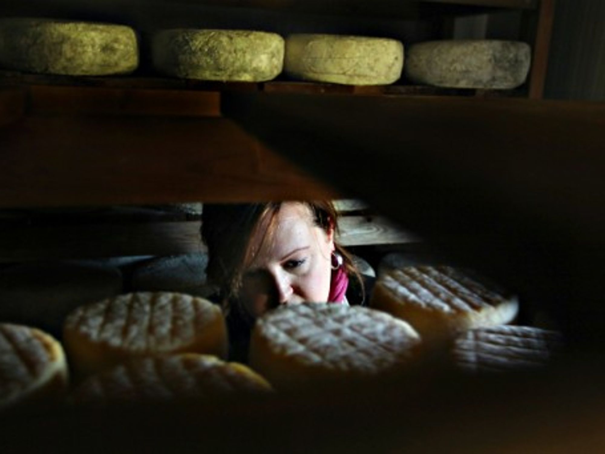 Californian Cheese Maker