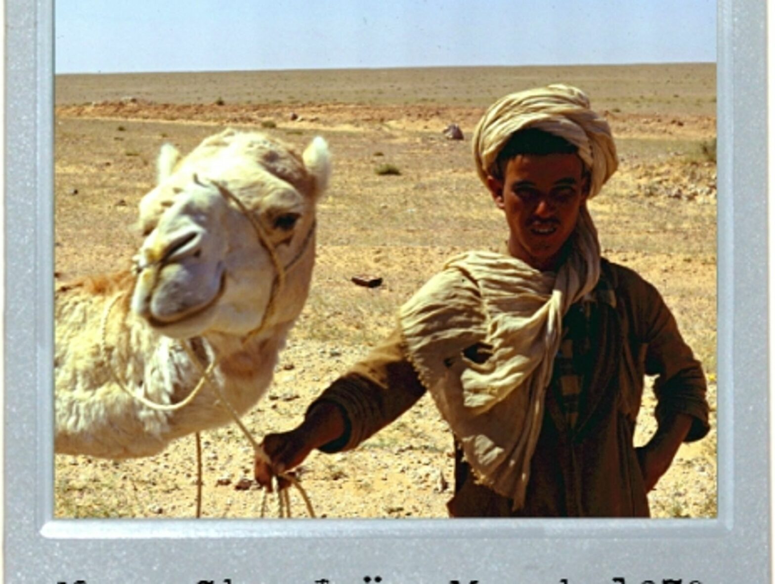 Camel Trophy