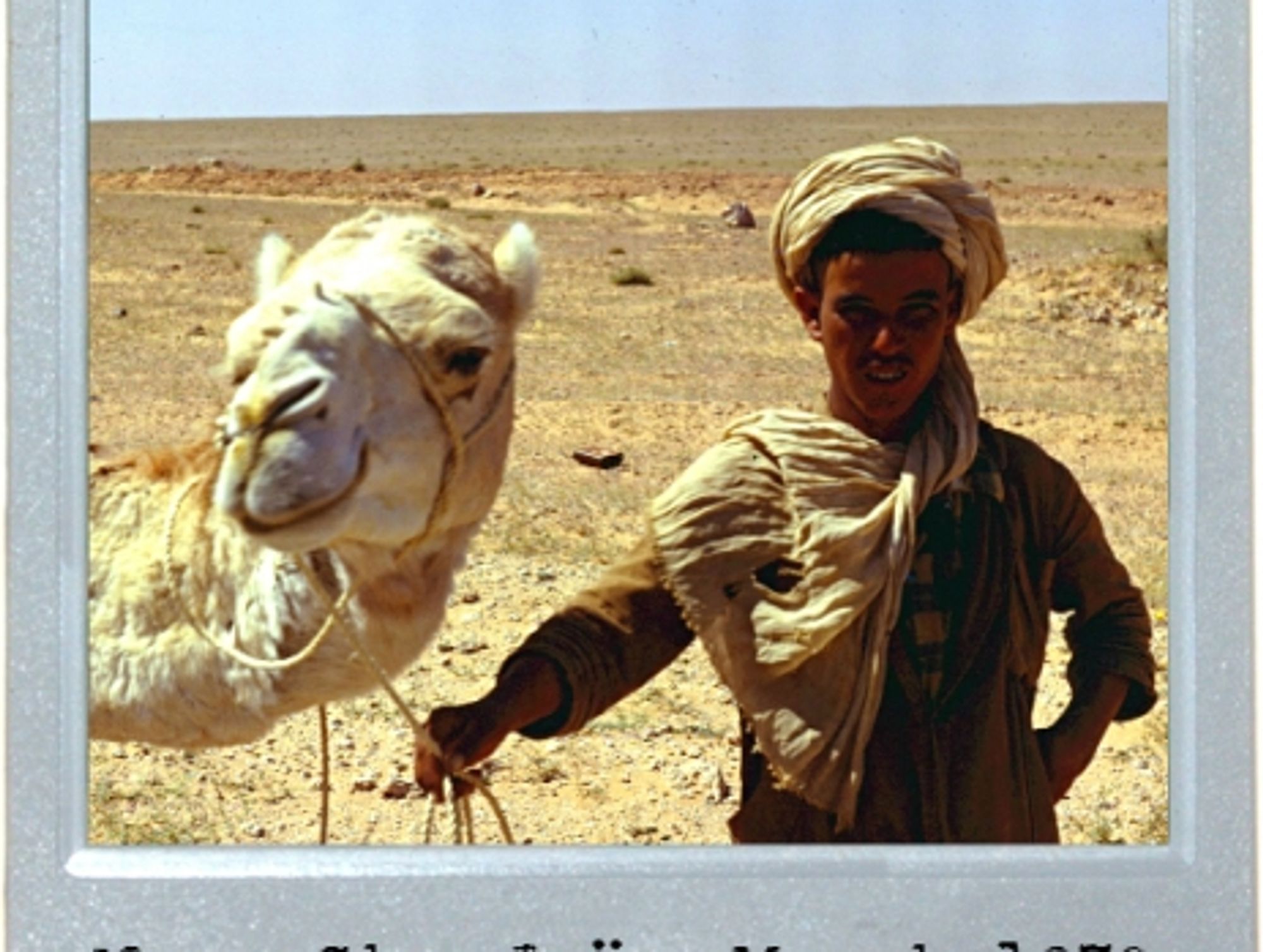 Camel Trophy