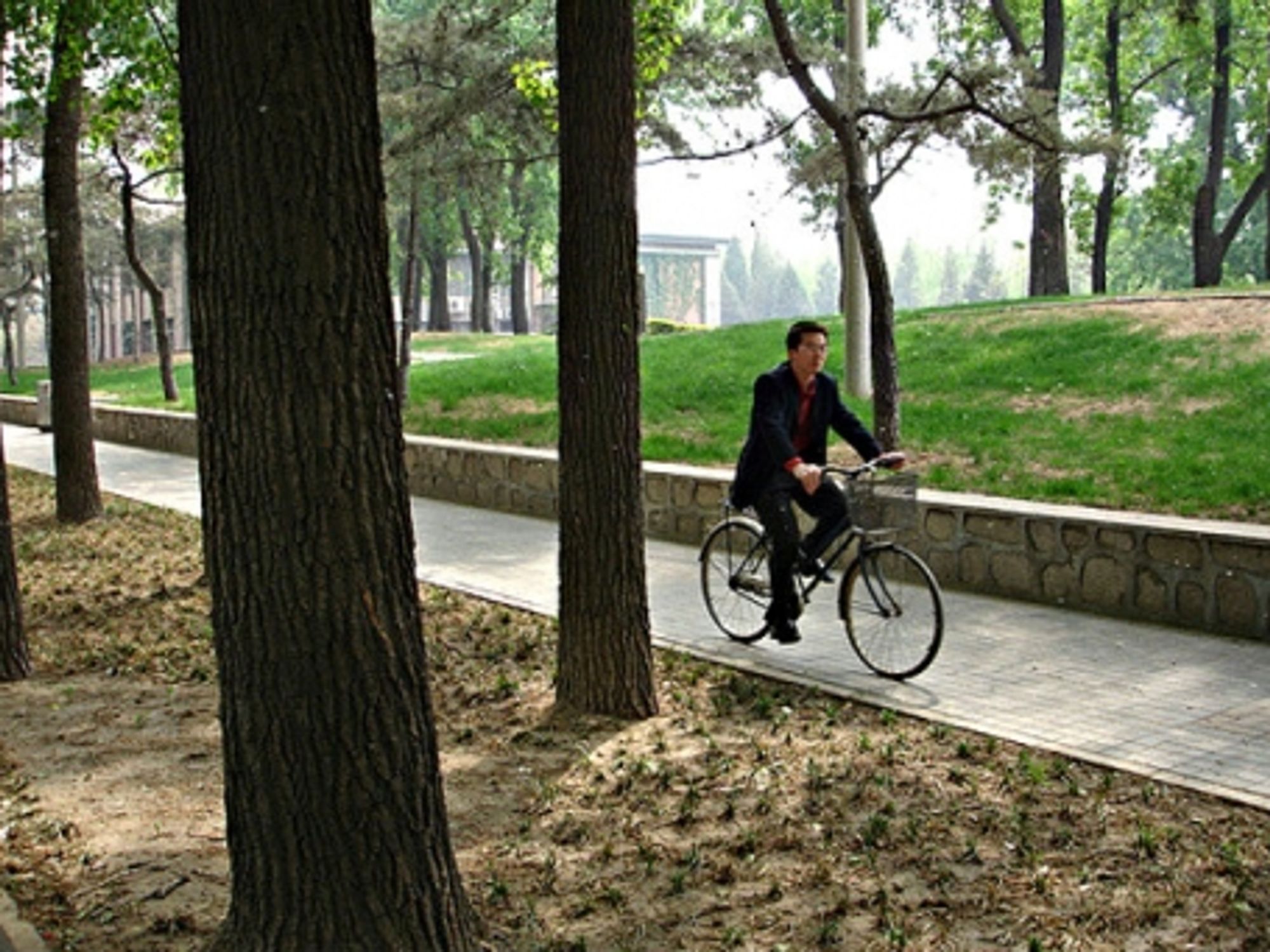 Campus path in Beijing