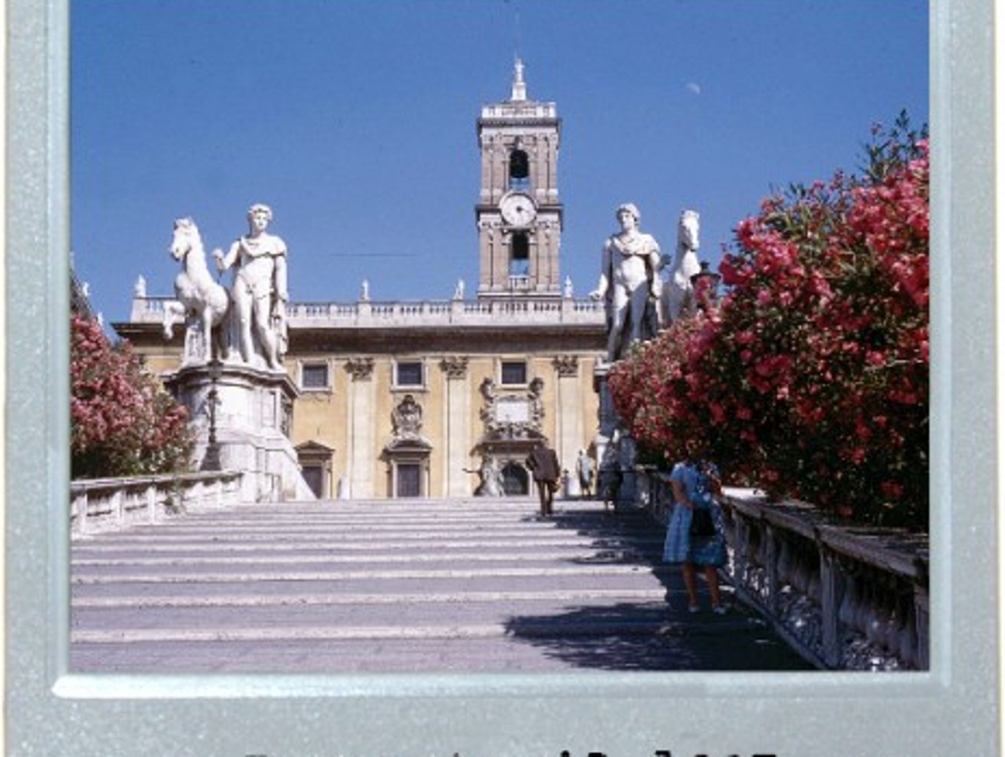 Capitoline Shade