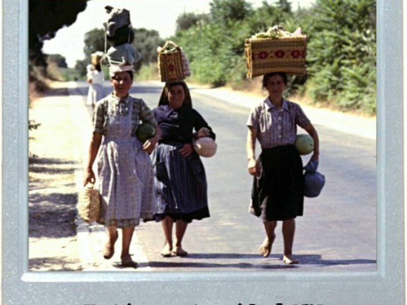 Carry On