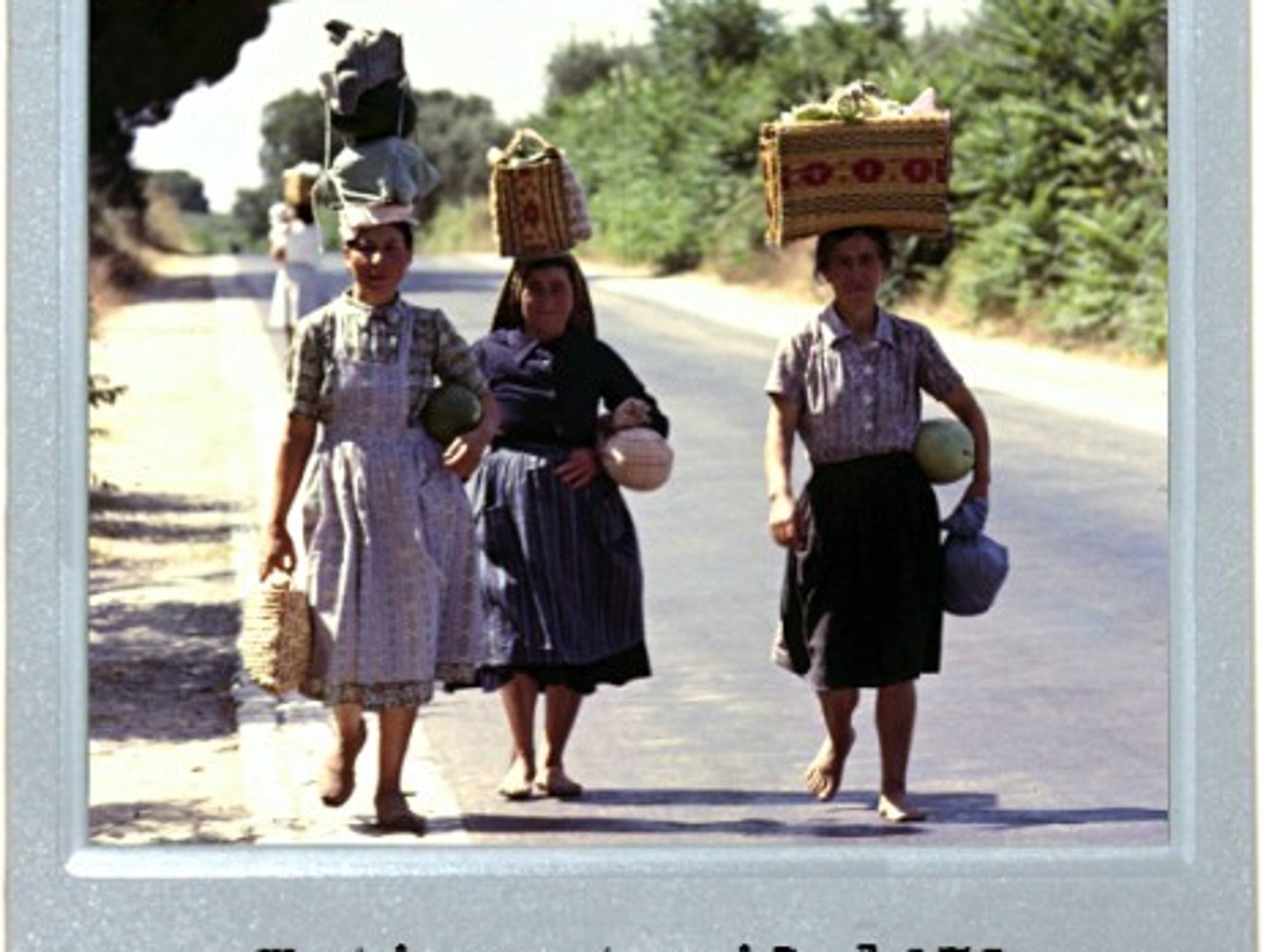 Carry On