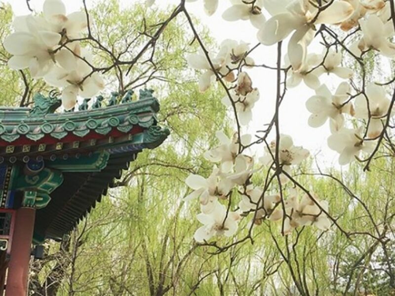 Changpu River Park