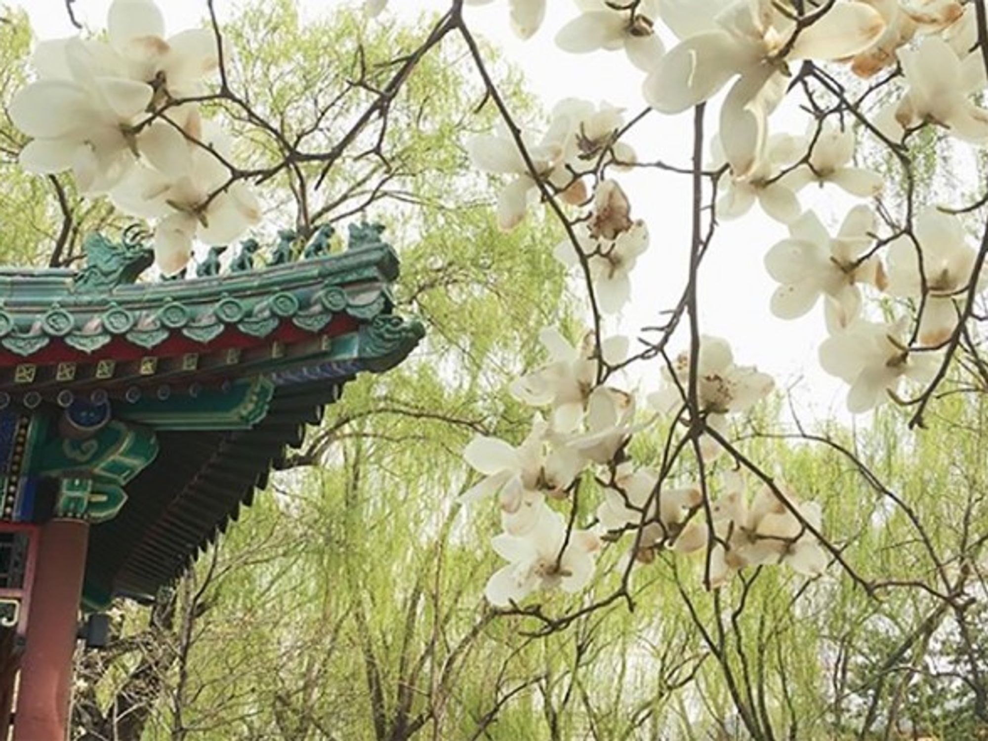 Changpu River Park