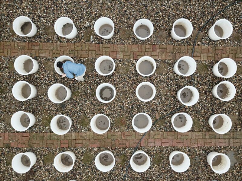 CHANGSHA, April 18, 2024 An aerial drone photo taken on April 11, 2024 shows Li Yang processing mud samples extracted from the bottom of the Datong Lake at the workstation at Datong Lake in Yiyang, central China's Hunan Province. Dongting Lake in central China's Hunan Province is the second-largest freshwater lake in the country. Located on the central region of the Dongting Lake, Datong Lake is known as ''the heart of the Dongting''. Due to disorder aquaculture development, the water quality of Datong Lake was once seriously deteriorated.. In January 2018, an aquatic vegetation planting project was launched in Datong Lake area, with a team from Wuhan University providing technical guidance. In order to support the comprehensive water environment management and ecological industry development of Datong Lake, a scientific workstation was established here in April 2019.. Li Yang, a postdoctoral fellow from Wuhan University, has been working at Datong Lake since 2018. While completing the project experiments, Li Yang and other stationed researchers also regularly monitor the water quality, vegetation and soil dynamics of the Datong Lake basin, laying a good scientific foundation for the next step of lake management.. Nowadays, the water quality of Datong Lake has seen significant improvement, and the coverage area of aquatic vegetation has stabilized at about 50,000 mu (about 3333.33 hectares). With the improvement of biodiversity, the ecosystem has developed steadily.. During the six years of work in lake management, Li Yang completed his doctoral project in Datong Lake and continued his postdoctoral research here. Over the years, he has been deeply involved in the local ecological governance and green development, witnessing an impressive transformation of Datong Lake. (Credit Image: © Chen Zhenhai/Xinhua via ZUMA Press)