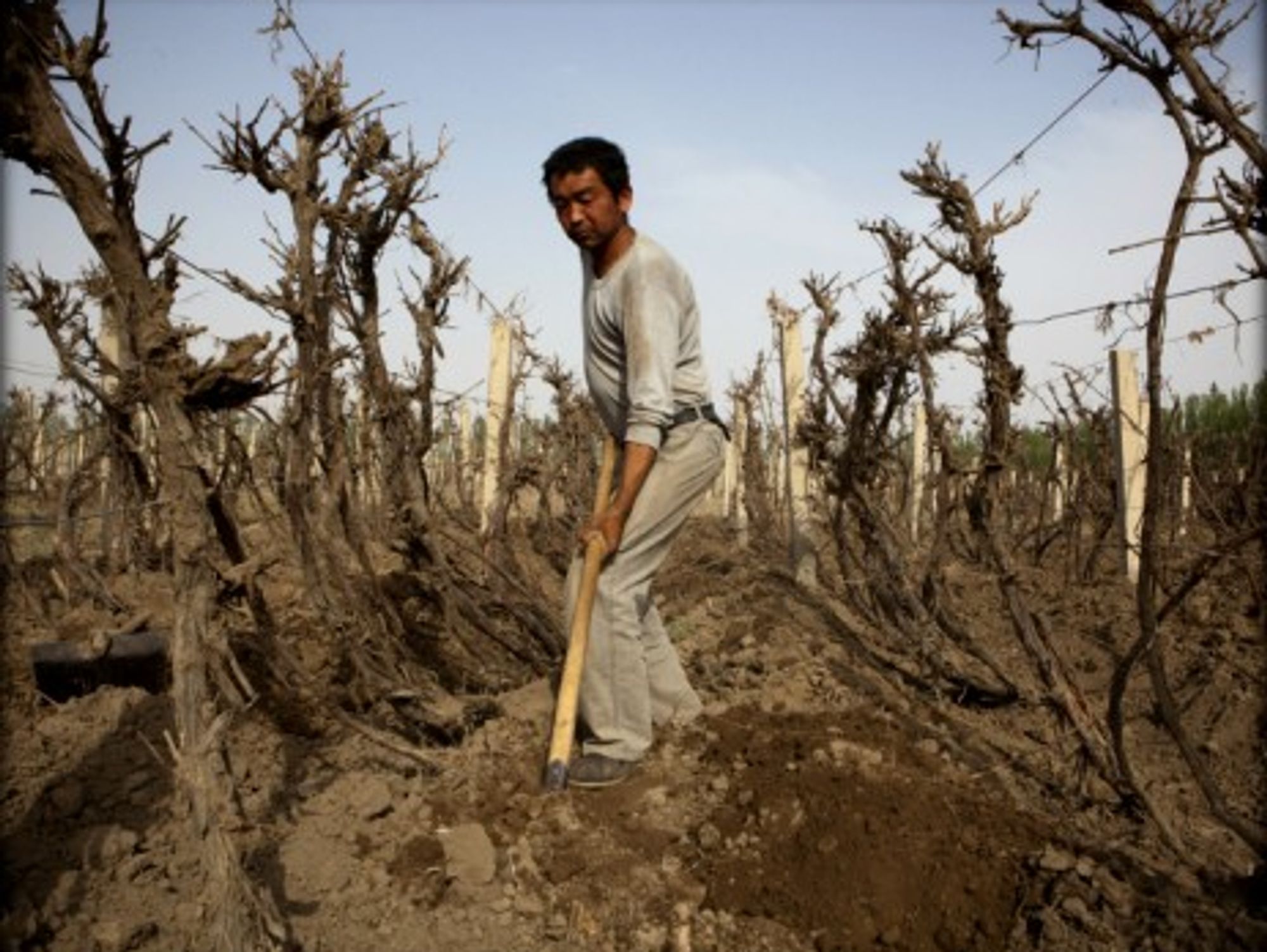 China already has air and water pollution prevention laws -- but so far nothing regarding soil pollution