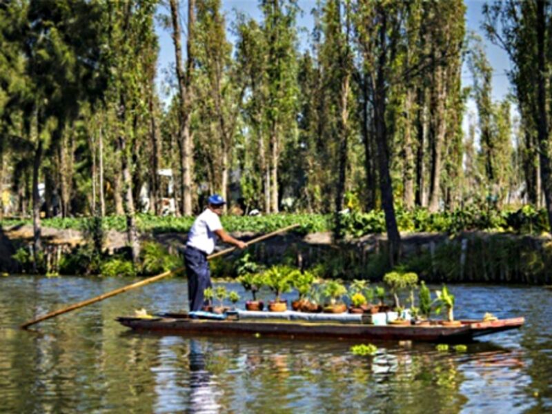 Chinampas in Xochimilco
