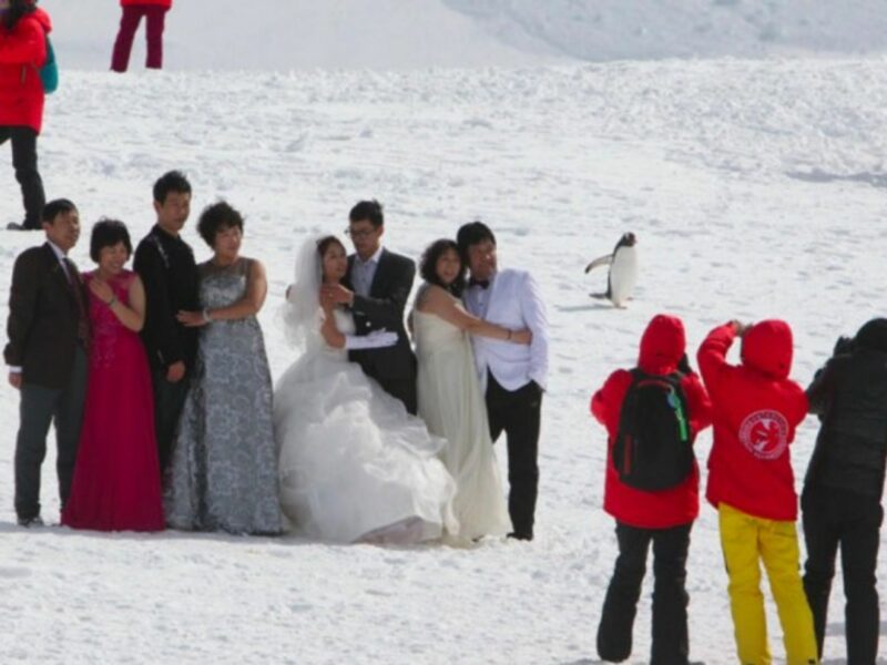 Chinese couple getting married in Antarctica