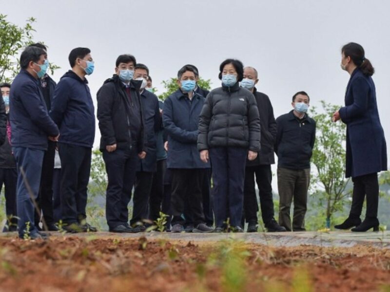 Chinese Vice Premier Sun Chunlan visits Wuhan this week.