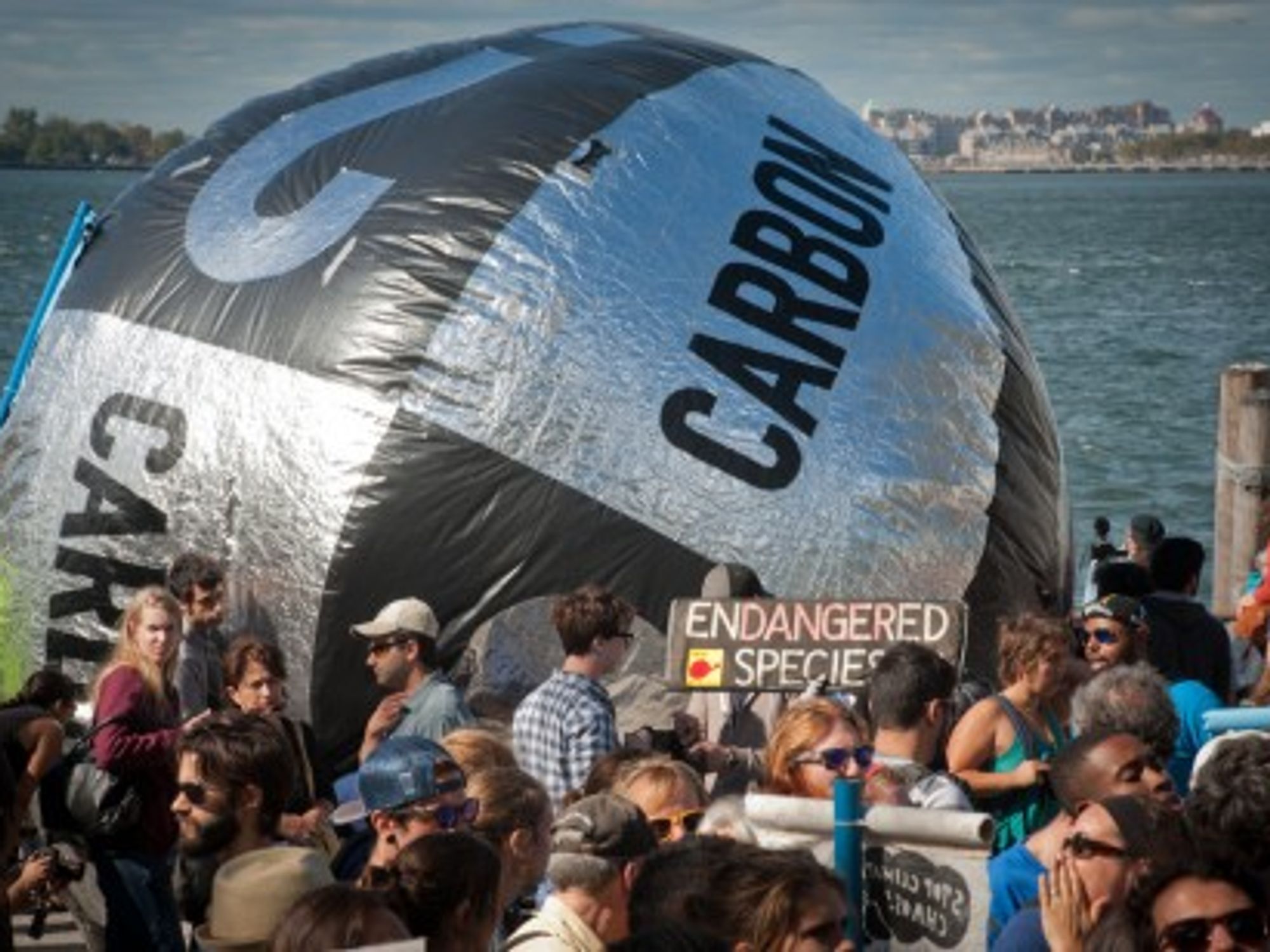 Climate change activists demonstrate in New York.