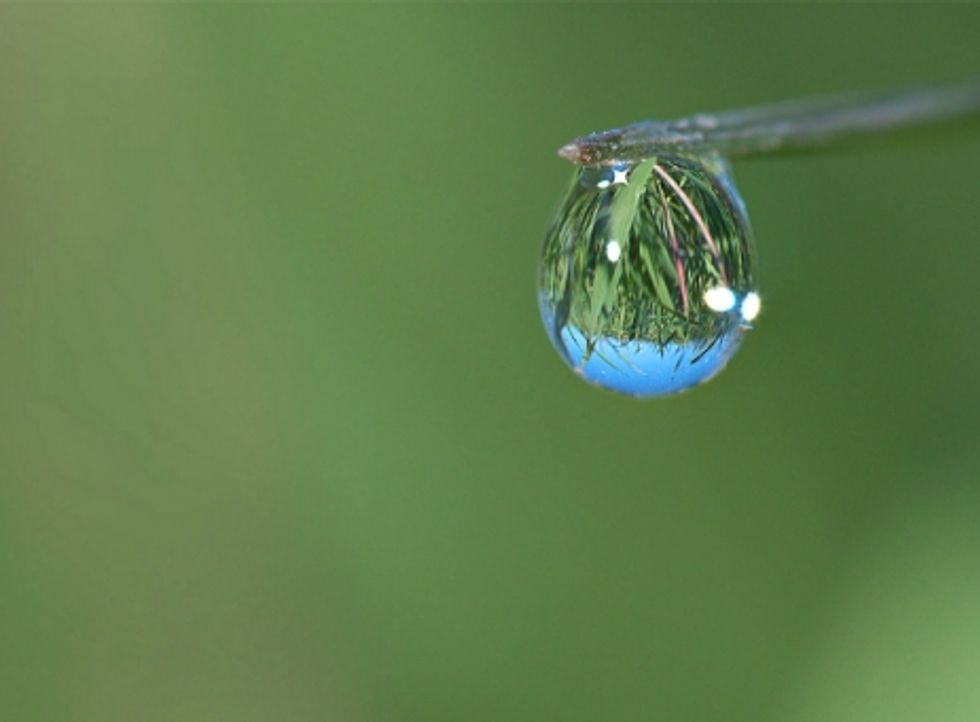 Close-up photo of a water drop