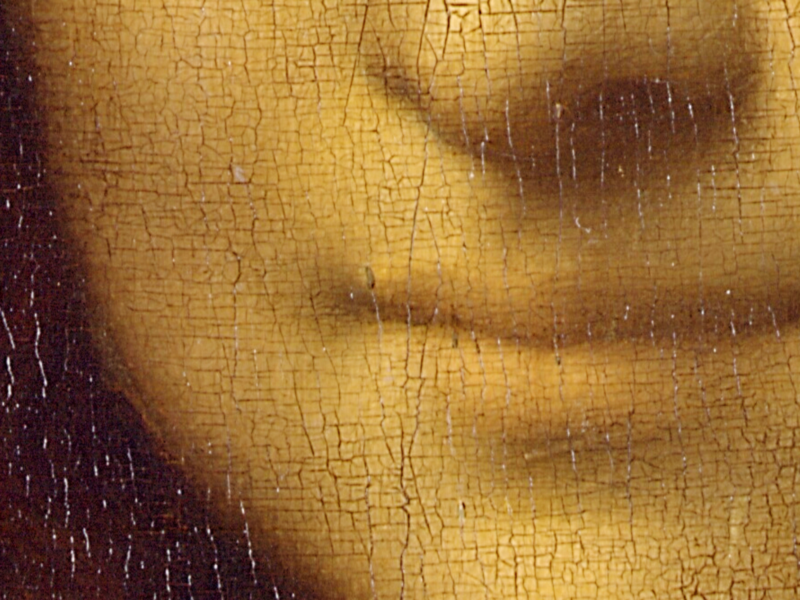 Closeup of Leonardo da Vinci's