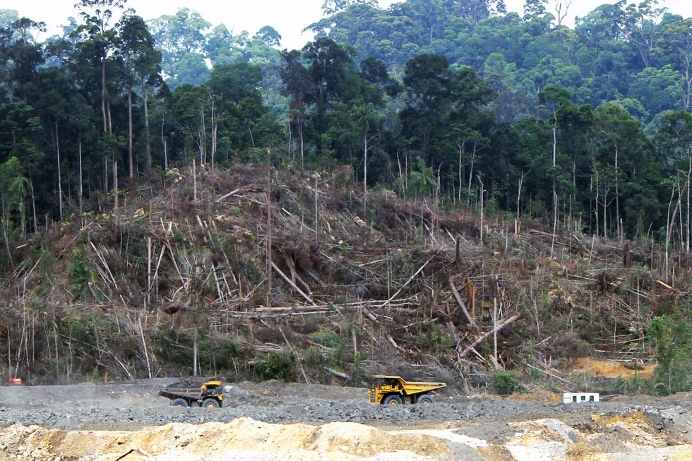 Coal mines like the Lumbung Mine are having a huge impact on local and indigenous populations in Indonesia, destroying the environment and polluting river water, normally used for cooking.